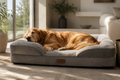 Solastride Deep Rest Bed
